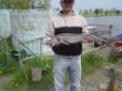 DSC00035.JPG